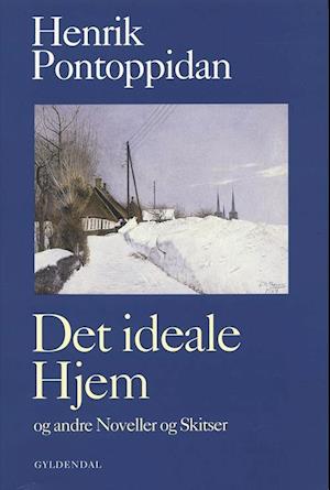 Det ideale Hjem: og andre Noveller og Skitser