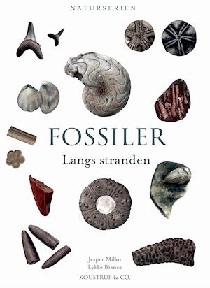 FOSSILER: Langs stranden