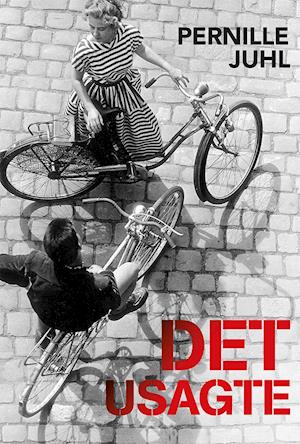 Det usagte: 4. bind i Gråstenertrilogien