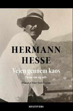 Vejen gennem kaos: Udvalgte fortællinger