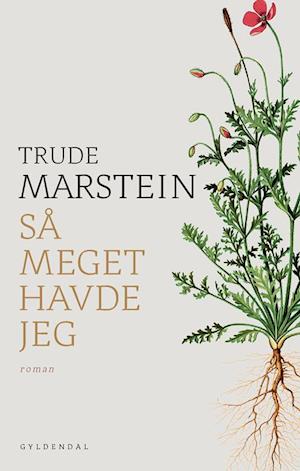 Så meget havde jeg