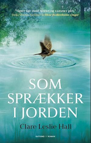 Som sprækker i jorden