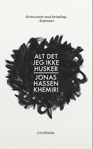 Alt det jeg ikke husker