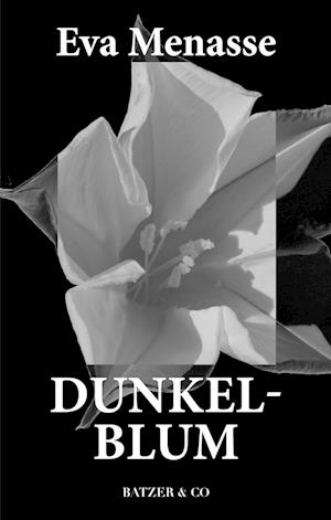 Dunkelblum - [RODEKASSE/DEFEKT]