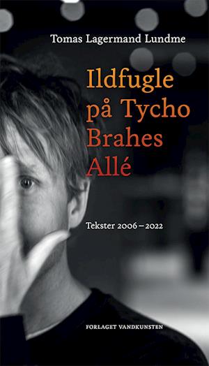 Ildfugle på Tycho Brahes Allé: Tekster 2006-2022