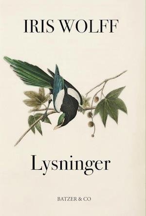 Lysninger