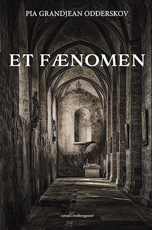 Et fænomen