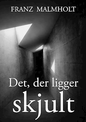 Det der ligger skjult: En roman om ansvar