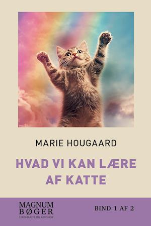 Hvad vi kan lære af katte (Storskrift)