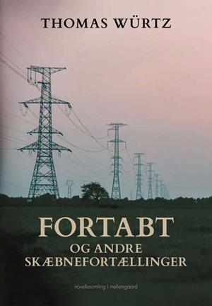 Fortabt og andre skæbnefortællinger