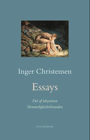 Essays. Hemmelighedstilstanden / Del af labyrinten