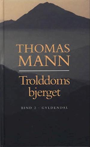 Trolddomsbjerget: Bind 2